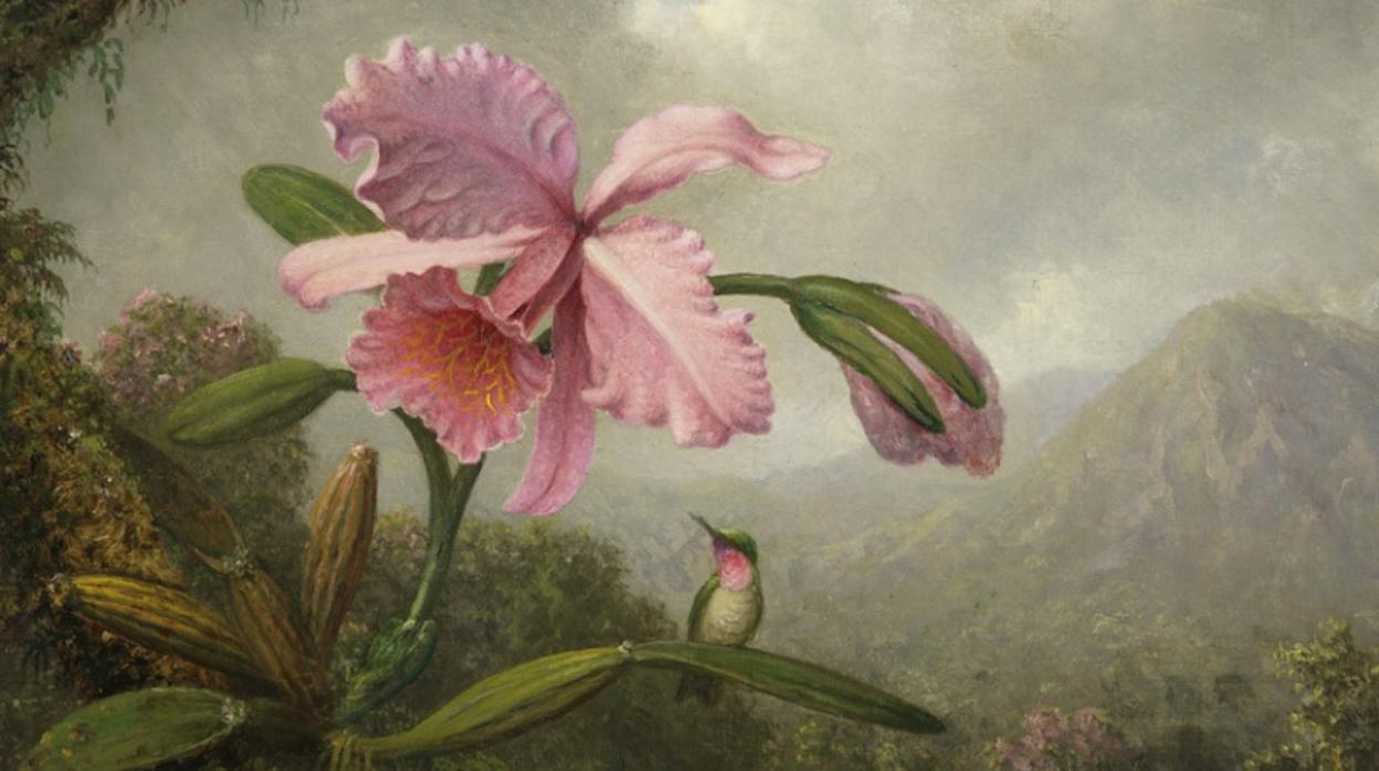 Orquídea y colibrí cerca de una cascada», de Martin Johnson Heade