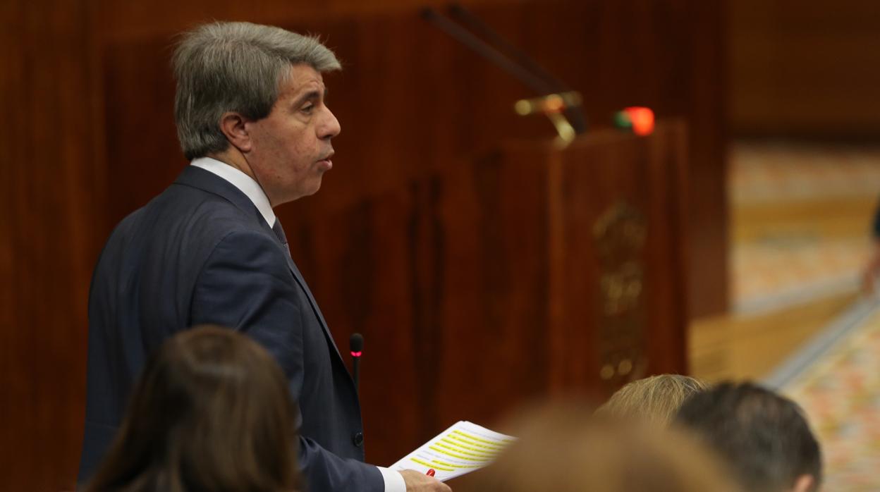 Ángel Garrido, presidente del Gobierno regional, en la Asamblea de Madrid