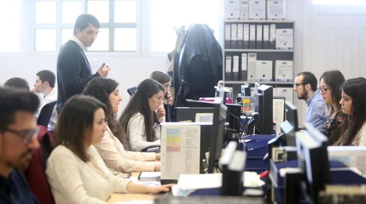 Jóvenes trabajando en una empresa gallega