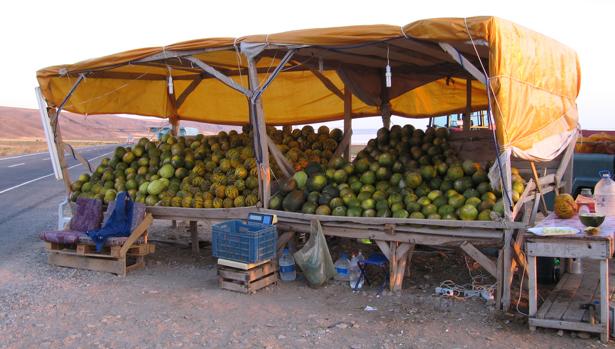 Herido un matrimonio tras una discusión por un puesto de melones