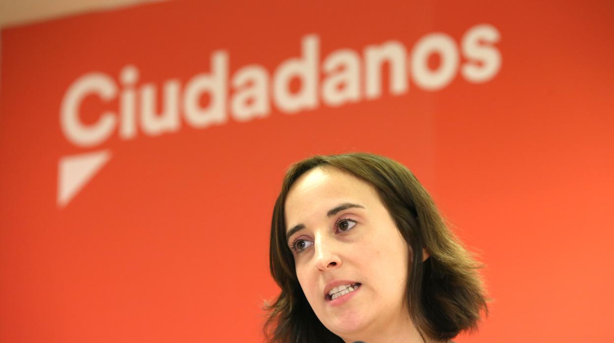 La edil de Ciudadanos en el Ayuntamiento de Valladolid, Pilar Vicente