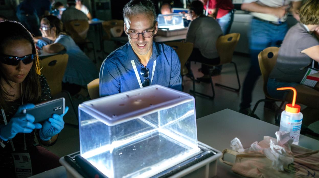 Una demostración de tecnología en desarrollo por el CERN