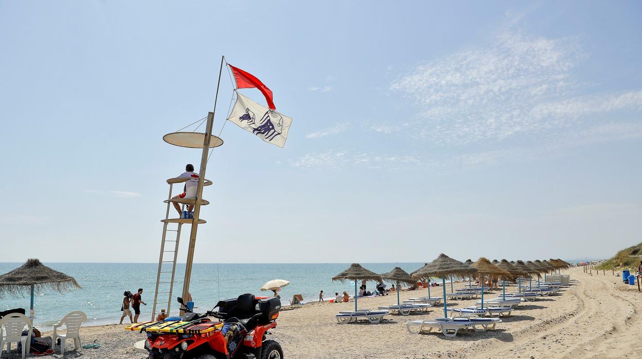 Imagen de la playa de El Saler tomada esta semana con la bandera roja y la que alerta sobre la presencia de medusas