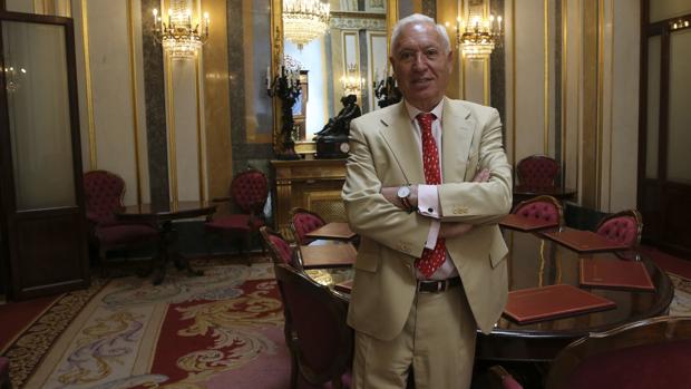 José Manuel García-Margallo: «Me presento porque el partido está en peligro de desaparición»