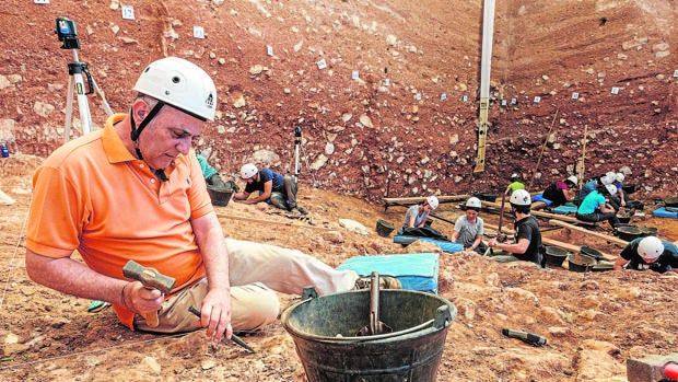 Finalizan 22 años de trabajo en el nivel «más rico» de Gran Dolina en Atapuerca