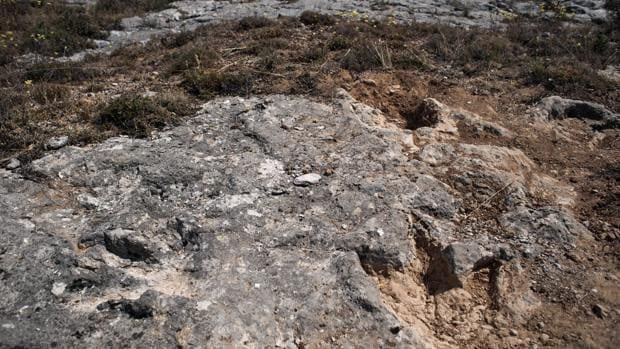 Hallan en Burgos restos de un dinosaurio de unos 145 millones años
