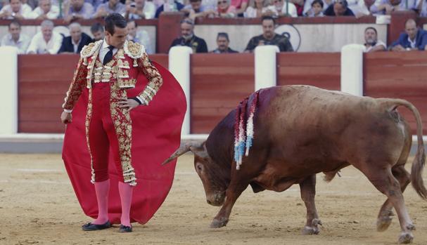 Abre el portal de Tauromaquia de Castilla y León