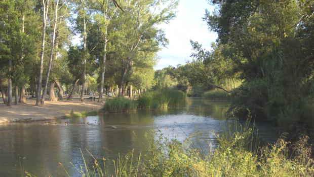 Encuentran a un bañista desaparecido en el río Turia en Pedralba