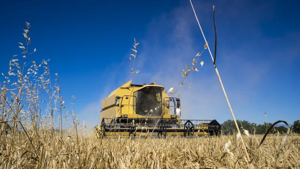 Siete millones de toneladas de cosecha de cereal en 2018