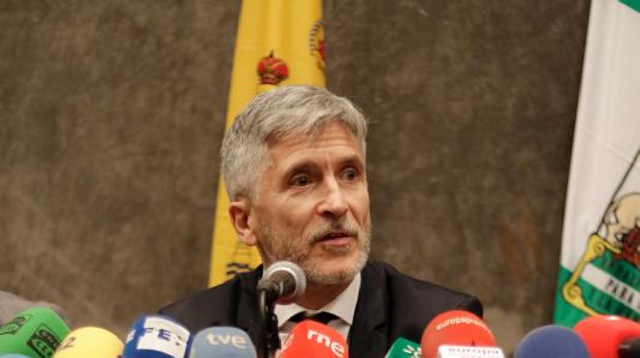 El Ministro de Interior , Fernando Grande-Marlaska, en imagen de archivo