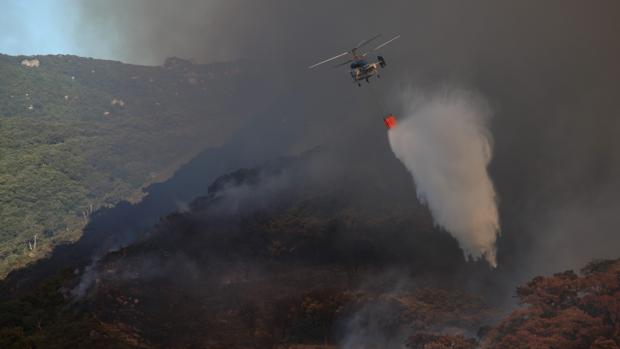 Cinco incendios «intencionados» afectan a Algeciras