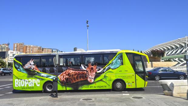 Impresionantes imágenes de animales salvajes de Bioparc pasean por Valencia y la costa este verano