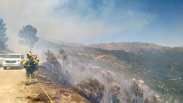 La Junta baja a nivel 1 el incendio forestal de Navaluenga, en la provincia de Ávila
