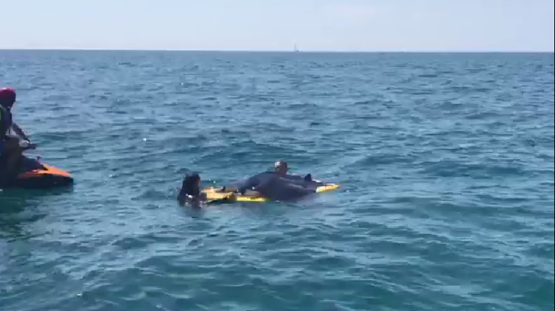 Rescatan a una manta raya gigante que había quedado atrapada en una red en una playa en Torrevieja