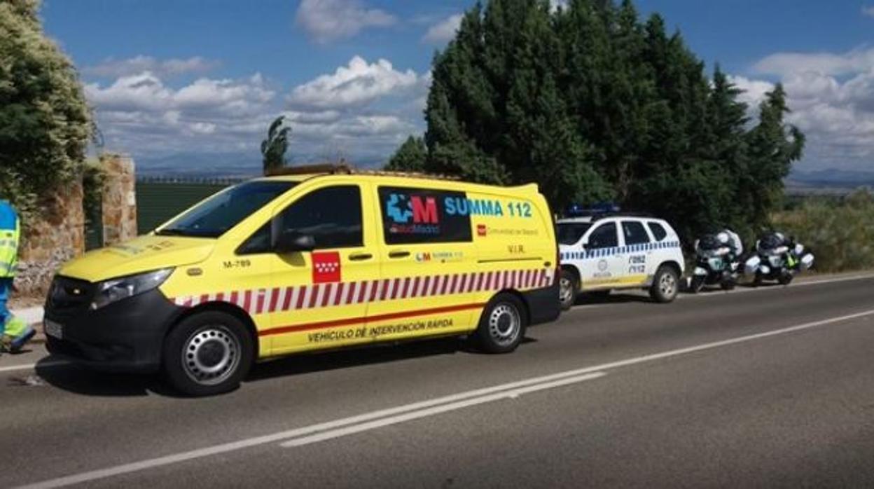 Muere un ciclista tras chocar con un corzo en Rascafría