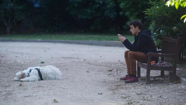 Colau obligará a los propietarios de los perros a llevarlos atados a partir de octubre de 2019