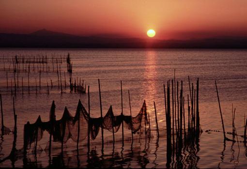 Imagen de la puesta de sol en la Albufera