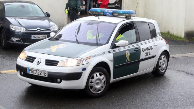 La Guardia Civil salva la vida de un mastín abandonado en la carretera