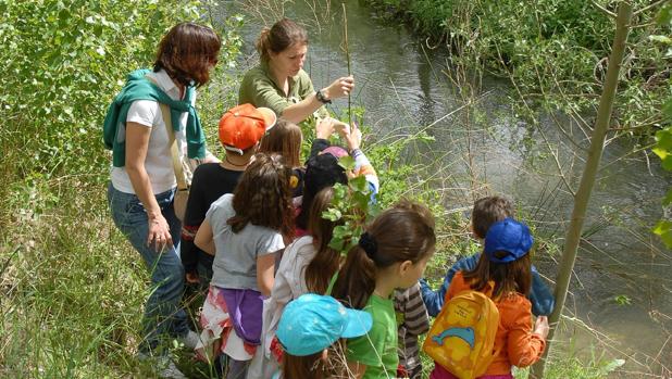 El PSOE propone «patrullas infantiles» para ser «guardianes del medio ambiente»