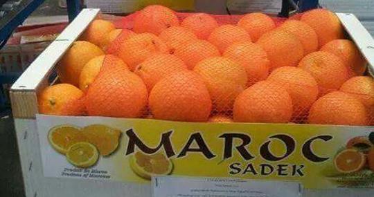 Naranjas de Agadir en una nave de Sarana Export