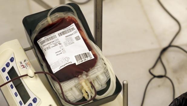 Las reservas de sangre del grupo 0+ se encuentran en nivel rojo y es necesario donar «lo antes posible»