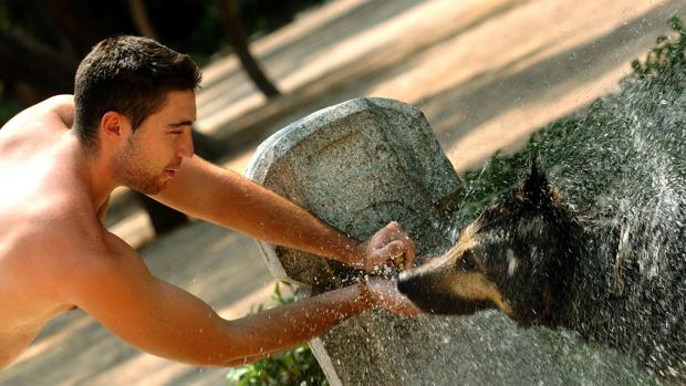 Ponferrada abre las puertas de una piscina municipal a los perros para celebrar el Día de las Mascotas