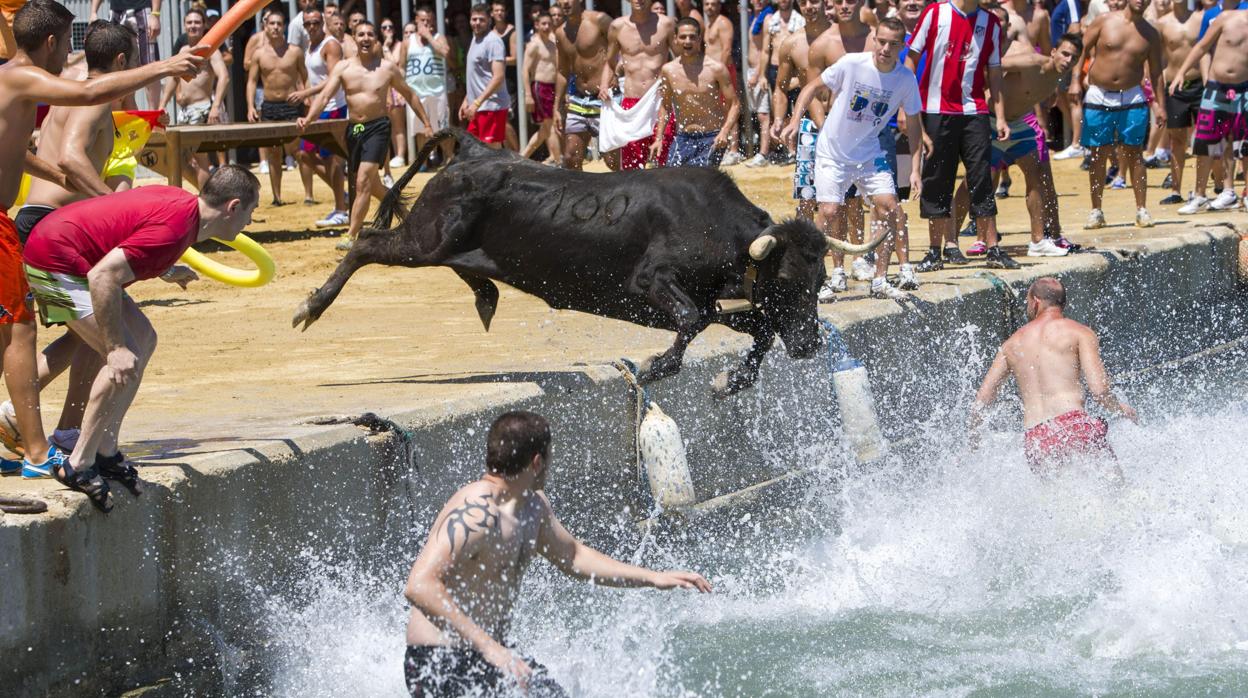 Imagen de archivo de la celebración de los «Bous a la mar» de Denia