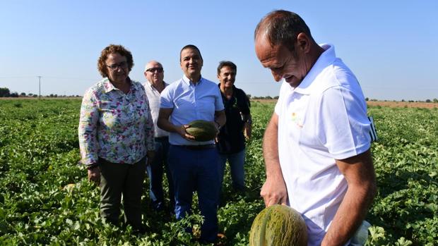Agricultura pide a comercializadoras de melón que vendan bajo la IGP