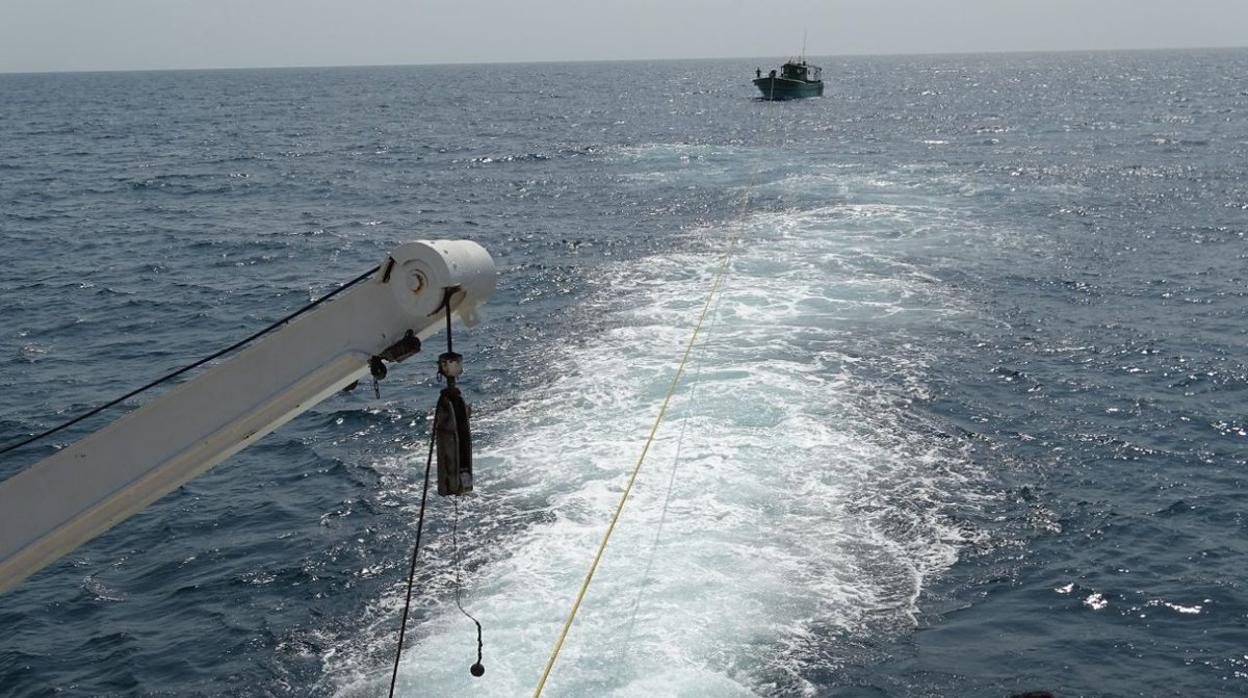 Piden a la UE que corte las ayudas a la pesca en Canarias