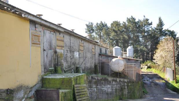 Los trabajadores de la granja de los horrores de Lugo encuentran trabajo tras ser liberados