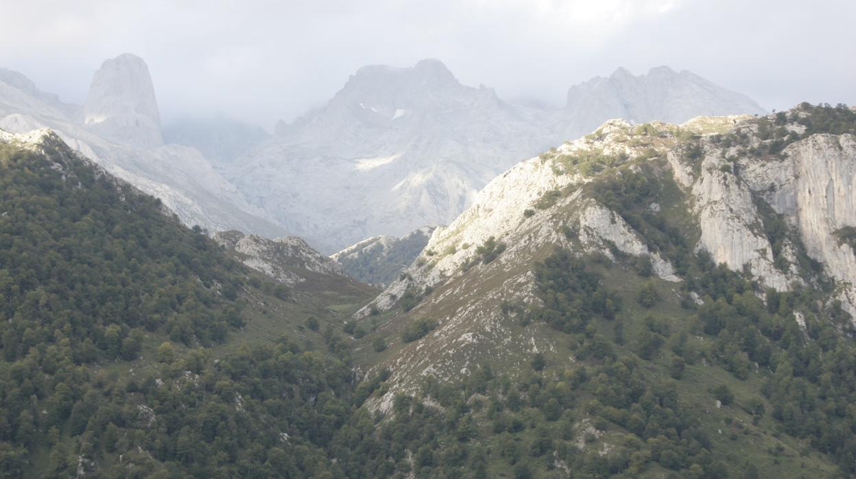 Imagen de archivo de los Picos de Europa, en la cordillera Cantábrica