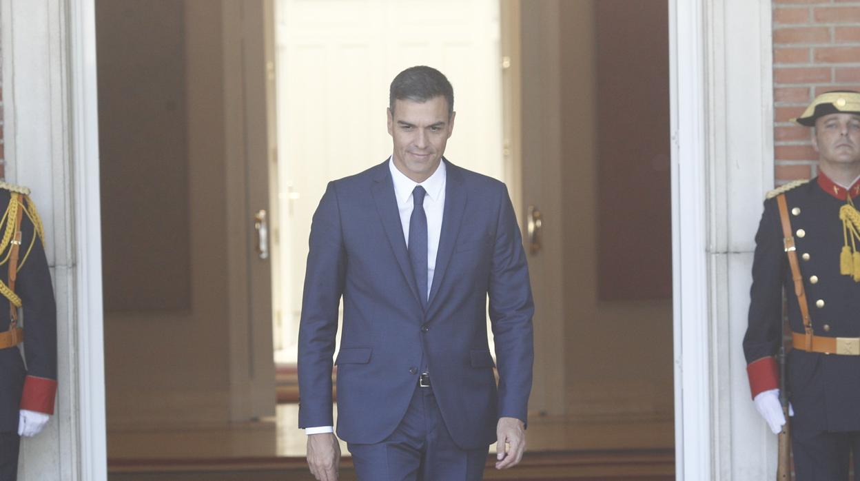 Pedro Sánchez en La Moncloa antes de recibir a la primera ministra rumana, Viorica Dancila