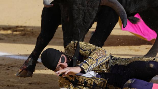 Padilla sufre una fea cogida en Valladolid durante el tercio de banderillas