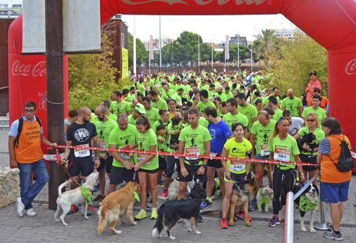 Can-rrera solidaria de Bioparc Valencia