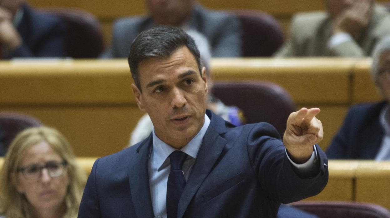 Pedro Sánchez comparece en el Senado durante la sesión de control al Gobierno
