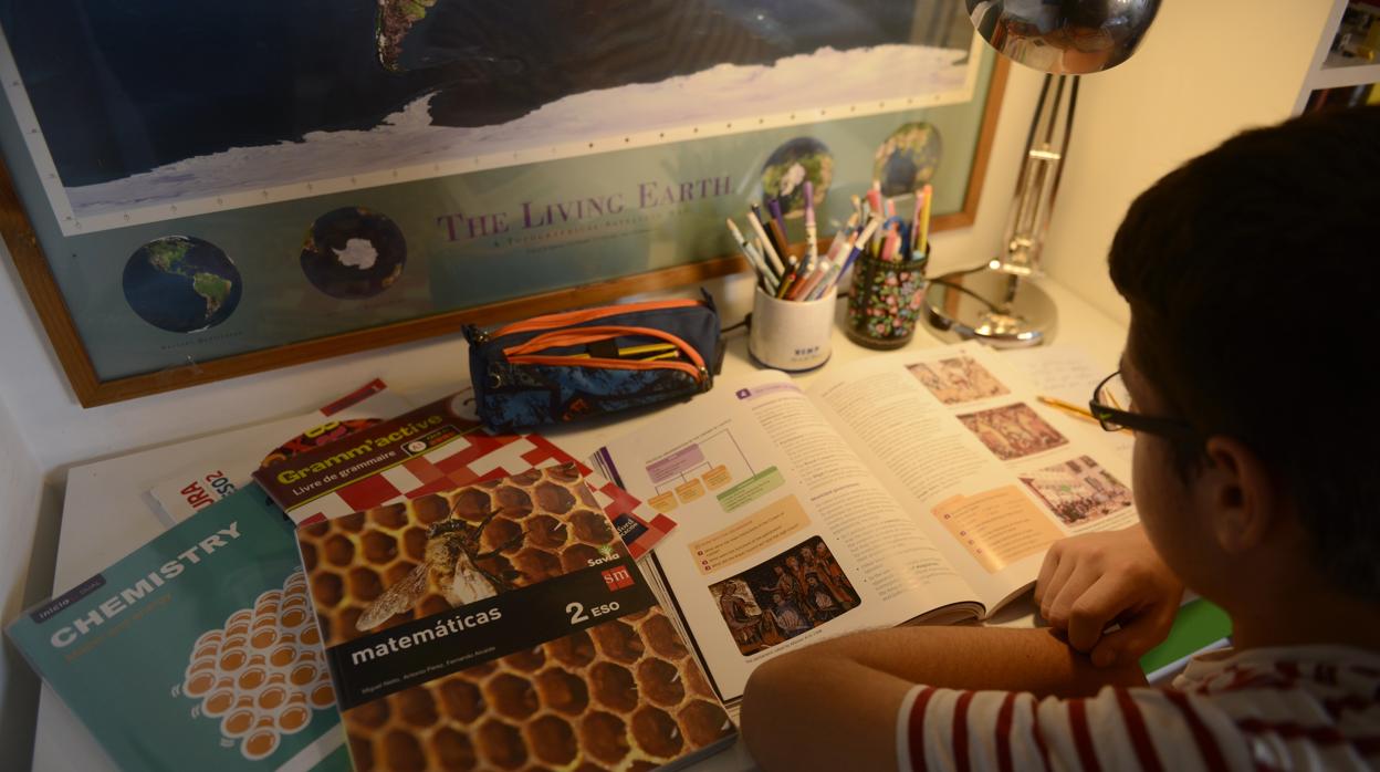 Los libros de texto deberán ser devueltos al colegio en perfecto estado y ,a cambio, las familais que participen en el programa recibirán otro paquete de libros del siguiente curso