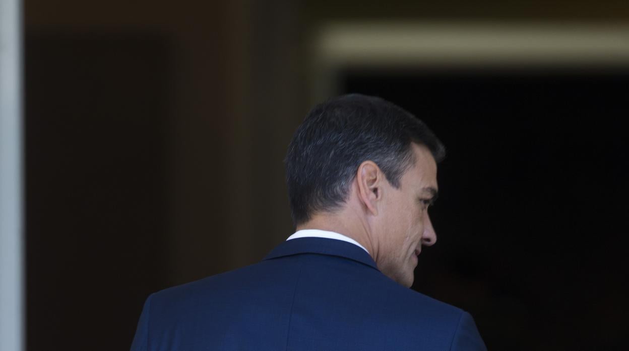 Pedro Sánchez