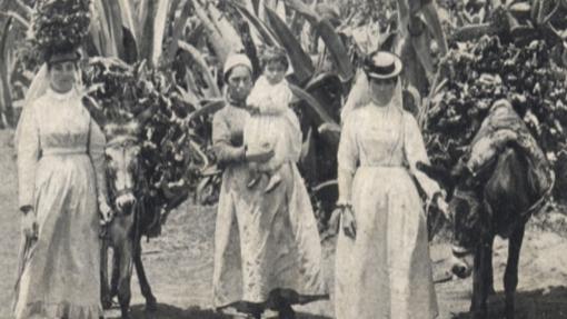 Siete escenas del pasado rural de Canarias