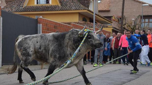 Otro hombre corneado en Yuncos por un toro enmaromado