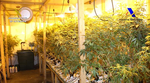 La Guardia Civil incauta 2.800 plantas de marihuana en una nave industrial de Legutiano (Álava)