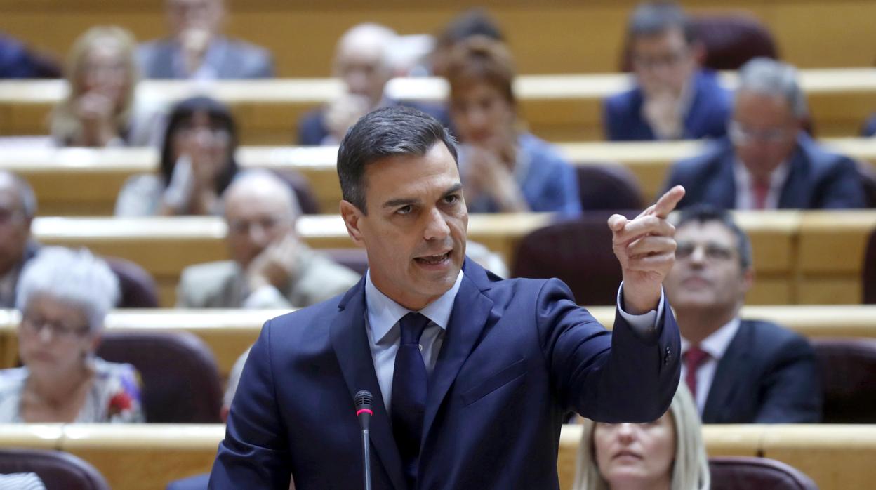 Pedro Sánchez, presidente del Gobierno, comparece en el Senado