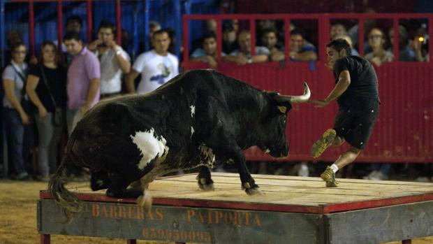 Un hombre de 71 años muere tras ser embestido por un toro embolado