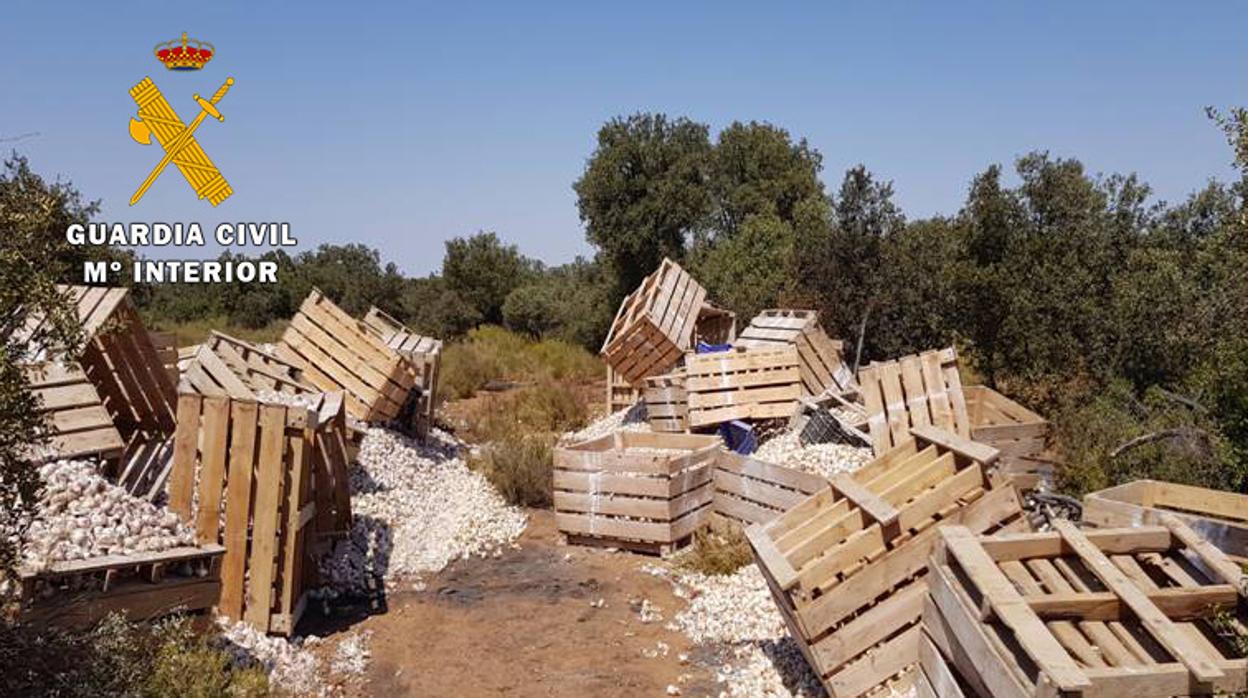 Ajos robados en la pedanía de Albacete Capital