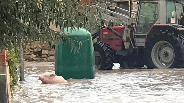 Cuéllar trata de recuperar la normalidad tras la fuerte tromba de agua