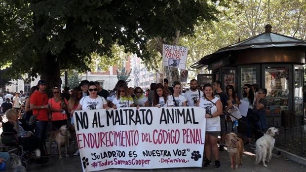 Medio millar de personas piden en Valladolid que se incluya el maltrato animal en el Código Penal