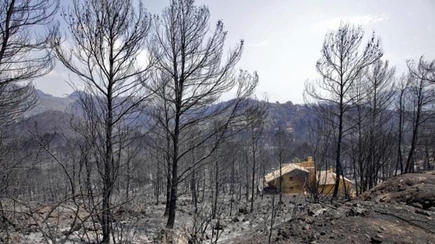 El incendio de Llutxent, el más grande en el verano menos malo de la década en España para el fuego