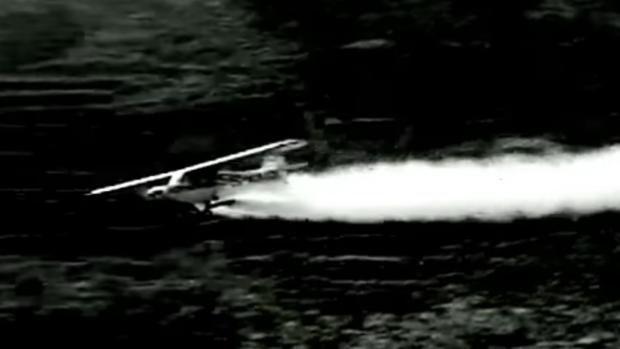 Vídeo: 60 años de la plaga de malditas langostas que arrasó Canarias