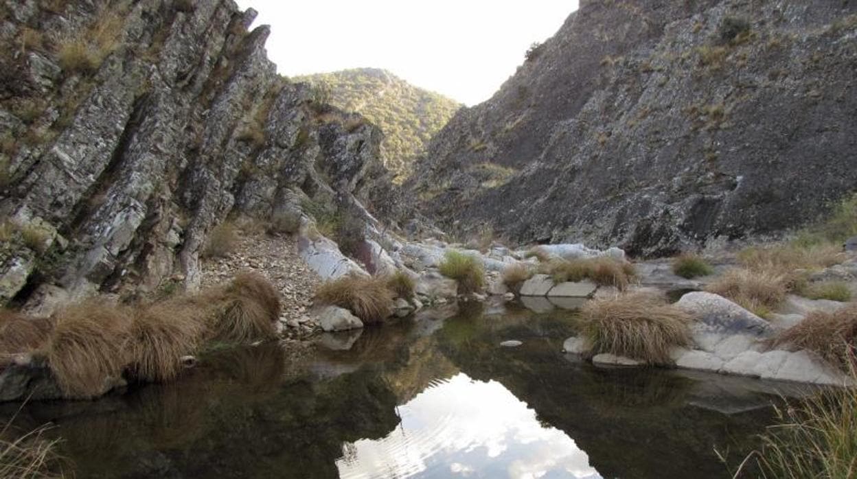 Huellas de fósiles en las rocas de la garganta del río Estena, en el Parque Nacional de Cabañeros.