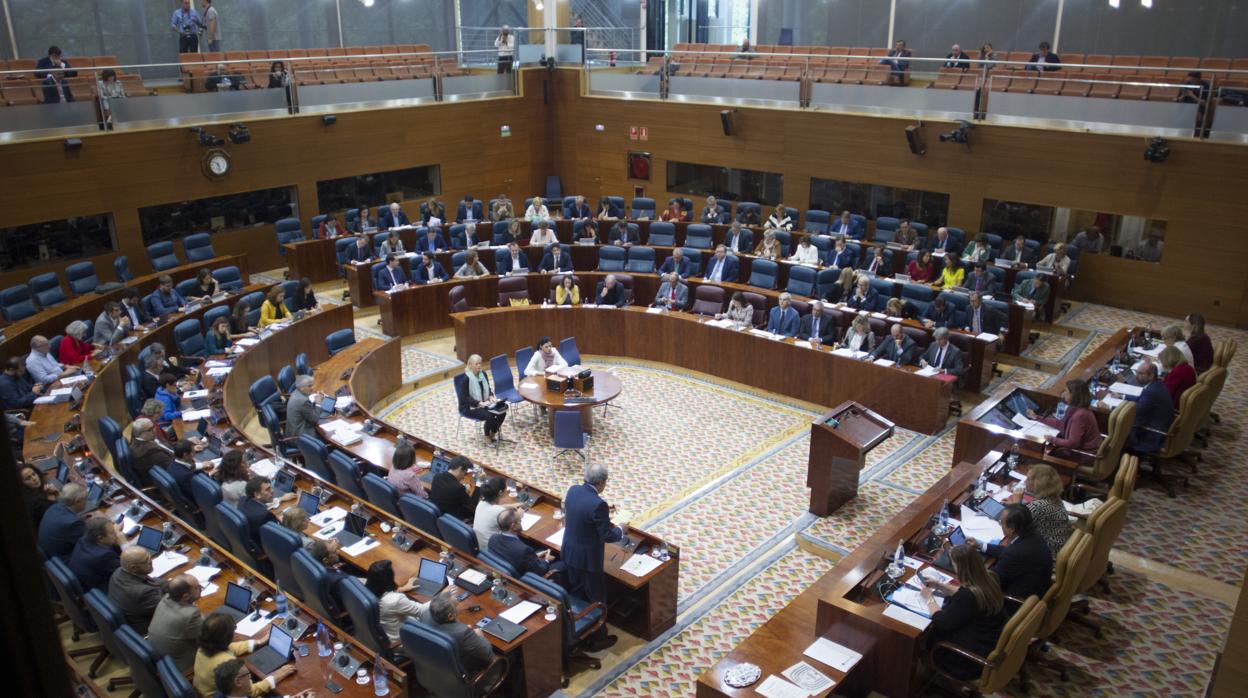 El pleno de la Asamblea, en una imagen de archivo