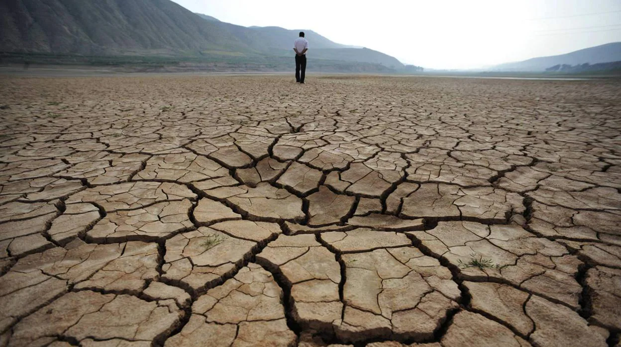 El calentamiento global de hace siete millones de años ombinó desiertos crecientes con zonas azoadas por fuertes y frecuentes lluvias